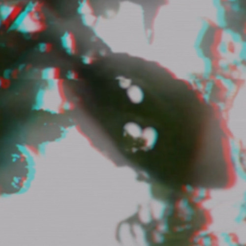 Euphoric Pills P.Amarez