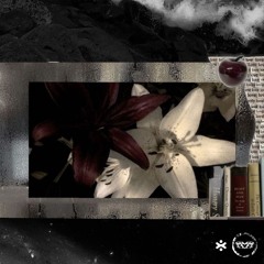 WHY SHOULD I CARE prod j'adoremoscowmule