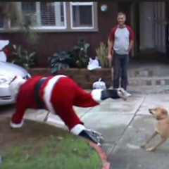 Flake feat. Homo Harmonika & BenE - Es wird scho glei dumpa