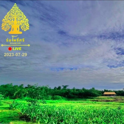 Chân Pháp - Đừng Ở Nơi Tâm 29 - 07 - 2023