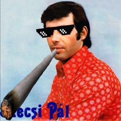 Szécsi Pál - Csak egy BLÁZ volt