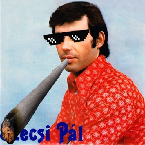 Szécsi Pál - Csak egy BLÁZ volt