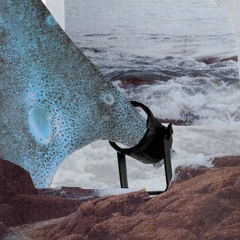 Old Man Crane 'Hepp' EP (out 11.07.25)