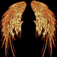 Wings