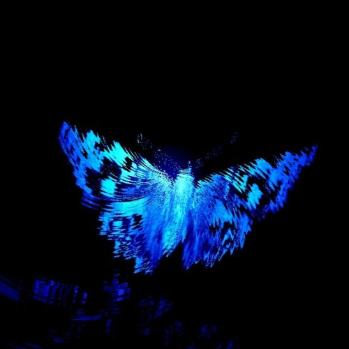 The Wings Of A Butterfly