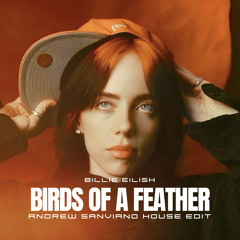BIRDS OF A FEATHER (ANDREW SANVIANO HOUSE EDIT)