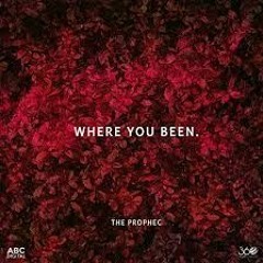 Where You Been Ft The Prophec [VDJ Remix]