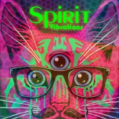 Spirit Vibrations - @ILLEGAL Rave Psychedelic DJ mix 3H Set Event Name - Weekender #2