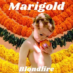 Blondfire - Marigold