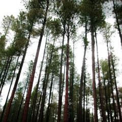 how can i prod. kkoreaxo