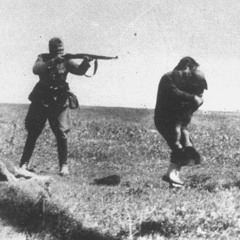 Einsatzgruppen