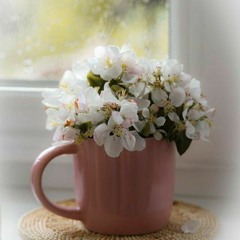راضيناك . طلال سلامة