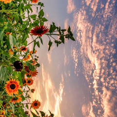 Phương Hướng Ánh Sáng  Vương Vũ Đồng