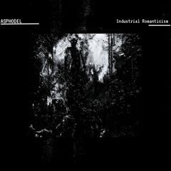 ASPHODEL - Industrial Romanticism (Original Mix)