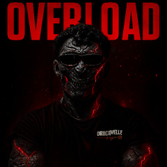 OVERLOAD - L.I.Ø.