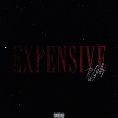 EXPENSIVE - RGILL (OFFICIAL AUDIO)