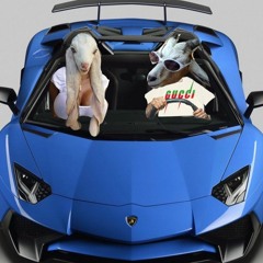 Ravioli - Goat In A Lamb