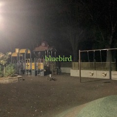 bluebird (demo)