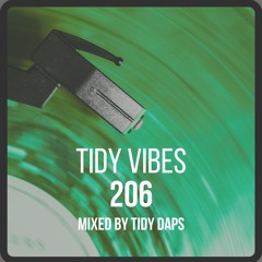 Tidy Vibes 206