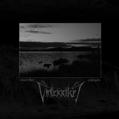 Vinterriket - Seelenleere