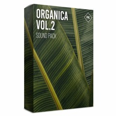 Yannek Maunz - DreamState (Organica Vol. 2 Template Track)