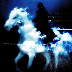 7_22playboi carti type