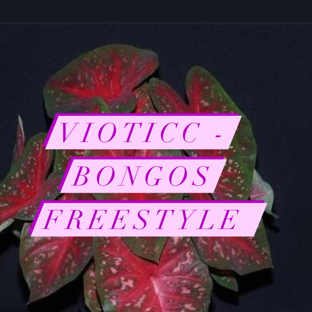 Vioticc X Bongos Freestyle .m4a