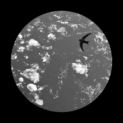 Denis Andreev -Ptica (Unreleased) Mastering