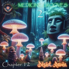 MYSTICAL VISION - CHPT 12 - DESERT RAVEN - MEDICINE GROOVES 2