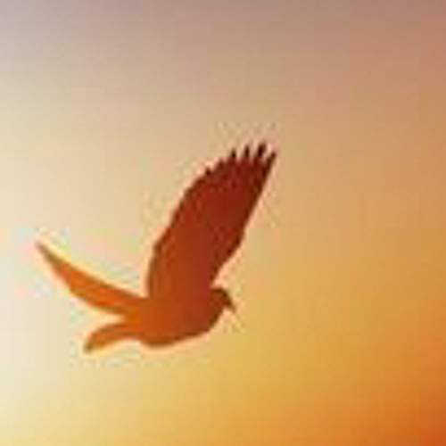 free bird but only the good part