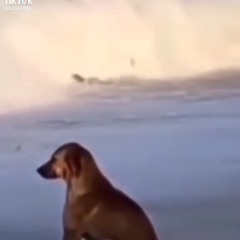 Esdeekid- panic x midwest emo (slowed)