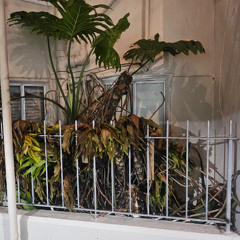 supervolcanoman - incoming marine layer! recycling water (prod mouseman)