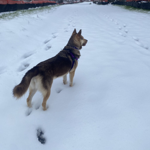 Snow Day DnB