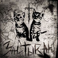 Sayzy - застываю