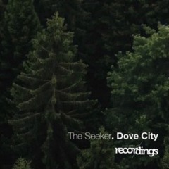 Dove City- The Seeker (Original Mix)