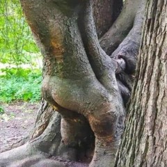 Flew right out the window spoken