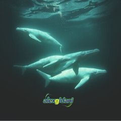 Ghost of the Ocean (1)