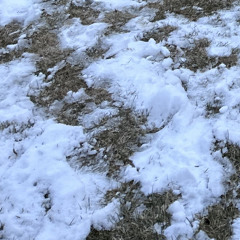 ericdoa - song for when the bar closes (evyhank remix)