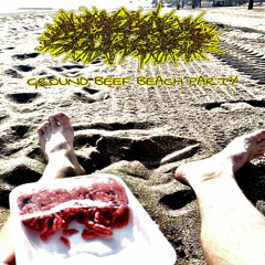 GROUND BEEF BEACH PARTY (live session)