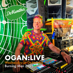 DeMentha 2025 - Wednesday (Live Set)