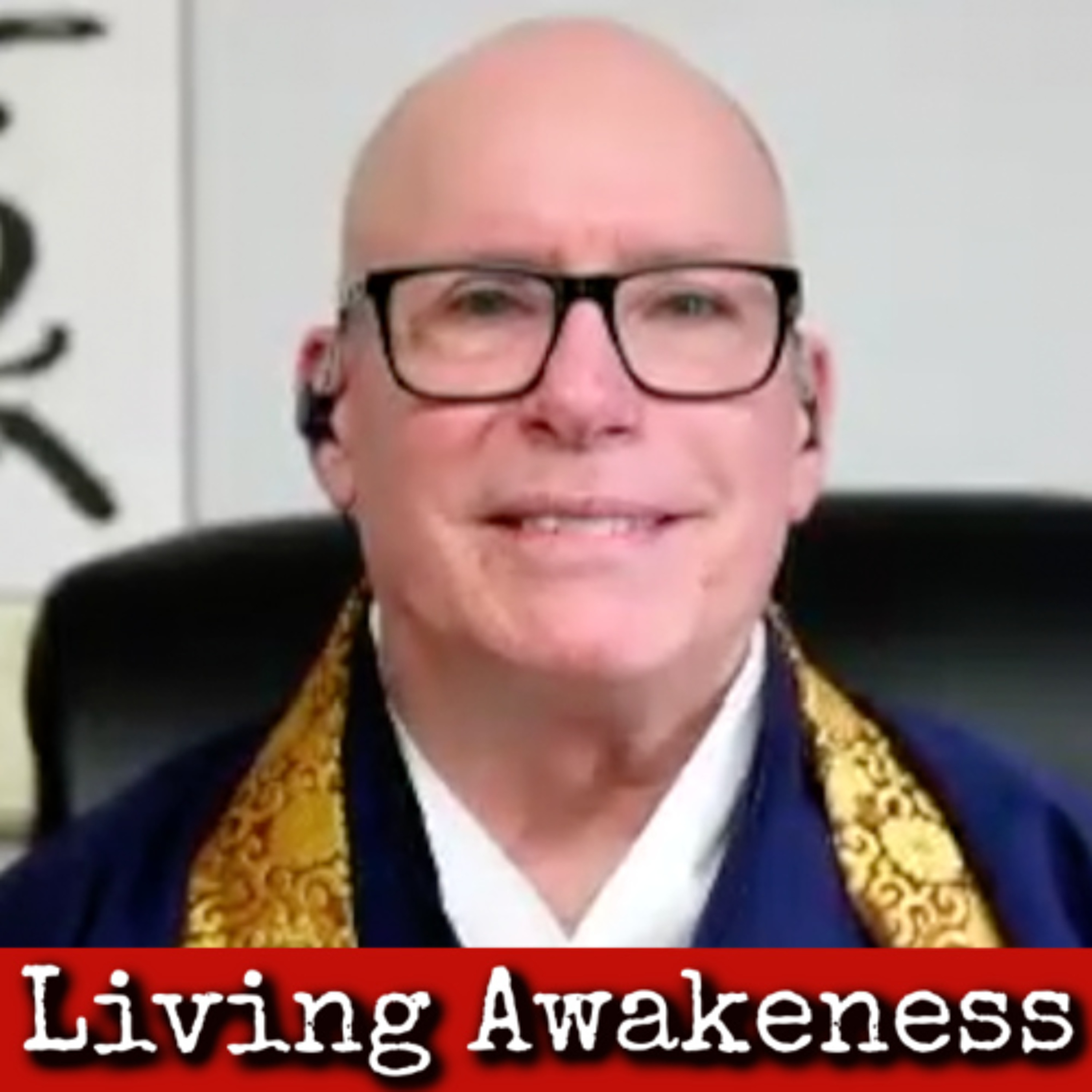 Ep361: Living Awakeness - Stephen Snyder