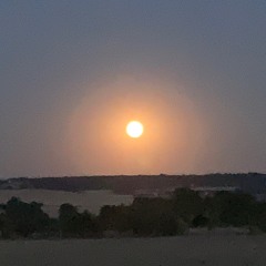 The Moon by Night