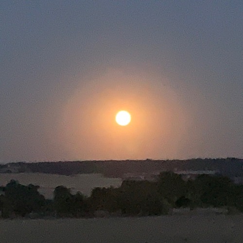The Moon by Night