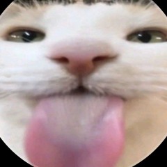 aurea cosmica phonkk remix