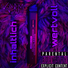 SchwangesteuerteR [outro]