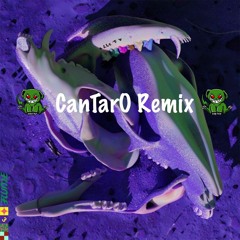 Flume - Rushing Back (Cantaro Remix)