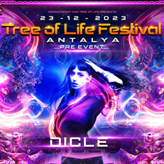 Tree of Life Festival Antalya Pre Event