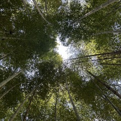 マイタウン