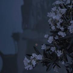 Vacant