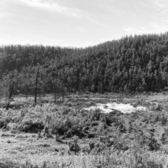 PFR22585 – Solitary Snipe, song flight – Mongolia